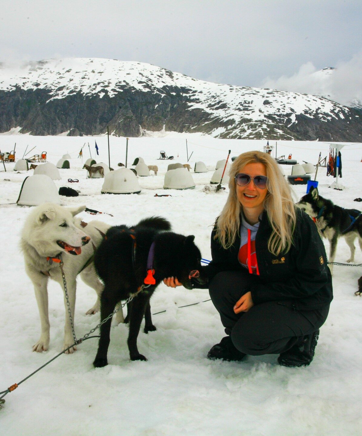 Hundeschlittenfahren in Alaska