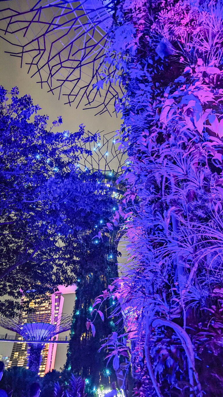 Supertrees Lichtershow Singapur