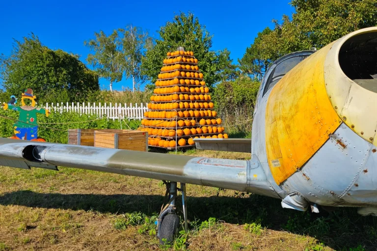 Flugzeug mit Kürbispyramide am Kürbishof Wunderlich