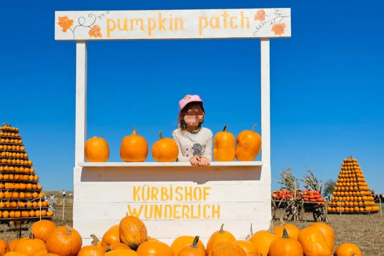 Kind am Kürbisstand Pumpkin Patch am Kürbishof Wunderlich