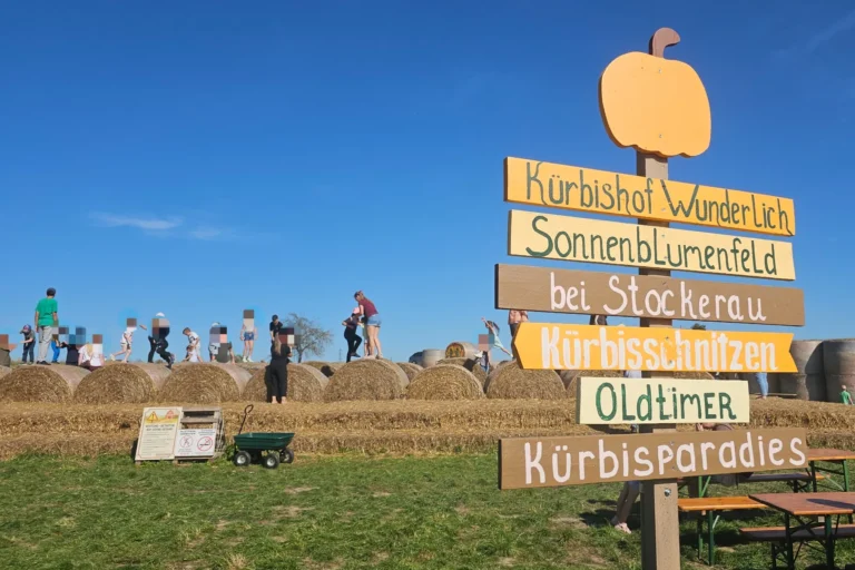 Wegweiser am Kürbishof Wunderlich mit Hinweisen zu Kürbisschnitzen und Oldtimern