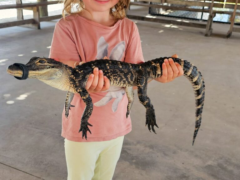 Alligator Baby, USA mit Kindern