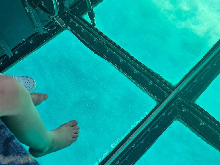 Florida Route mit Kind Glasbodenbootfahrt