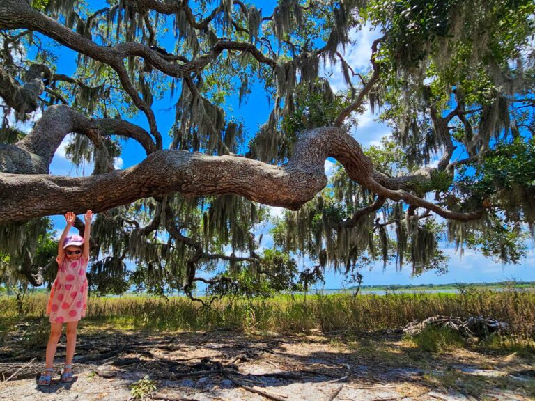 Mini im Myakka River State Park