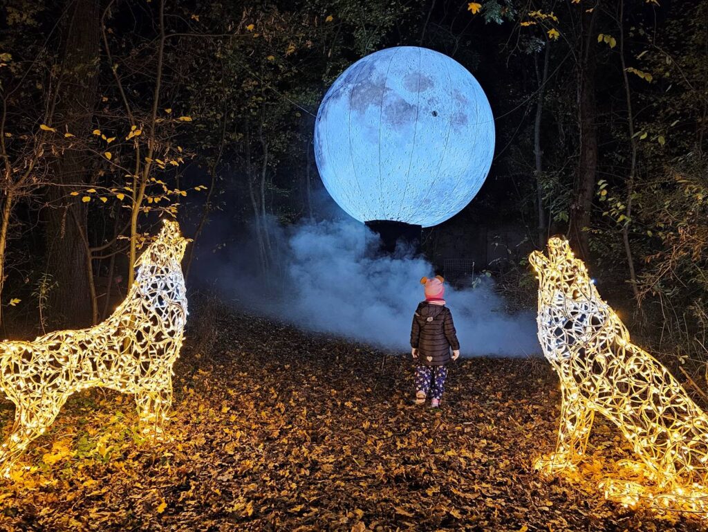Adventmärkte in Niederösterreich