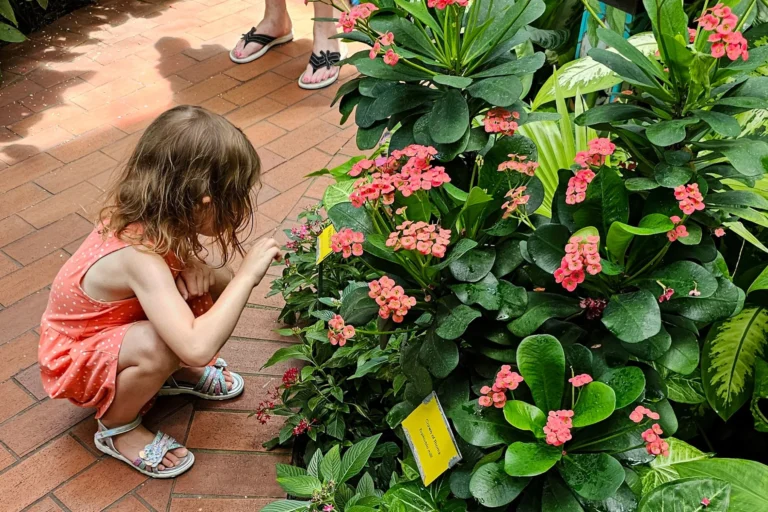 Kind entdeckt bunte Pflanzen im Butterfly House in Key West – Familienausflug während der Florida Rundreise