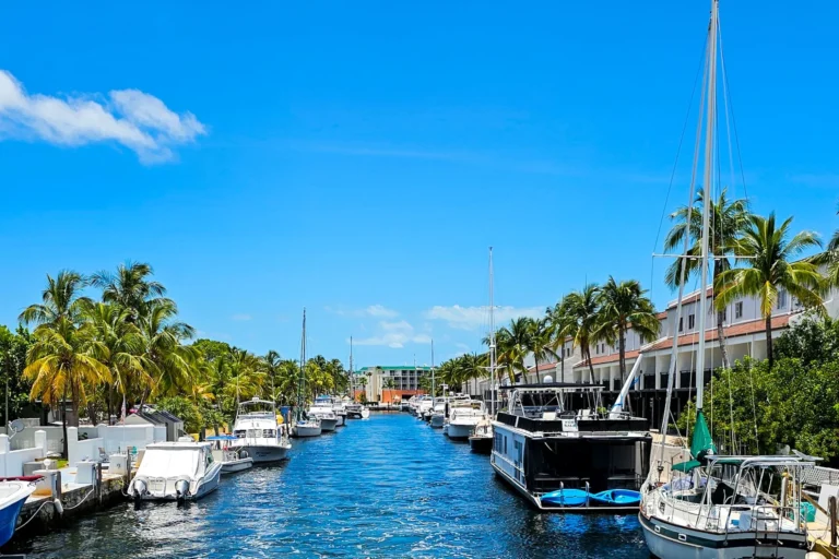 Hafen von Key Largo mit Booten und Palmen – Startpunkt vieler Erlebnisse bei einer Florida Rundreise mit Kind