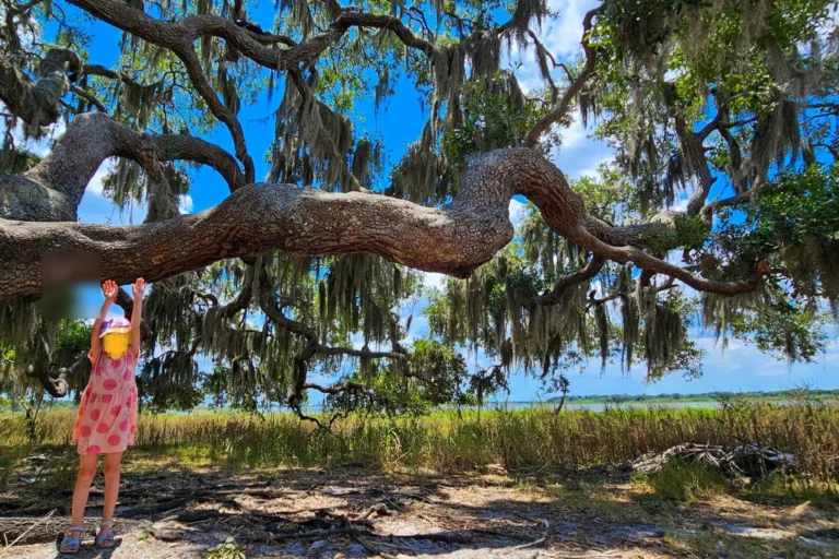 Kind im Myakka River State Park – Naturerlebnis auf einer Florida Rundreise mit Familie