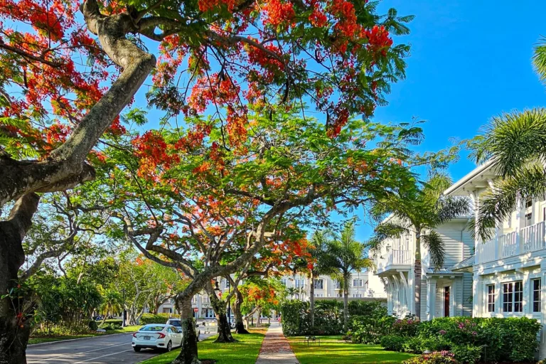 Blühende Bäume und weiße Häuser in Naples, Florida – Familienurlaub auf der Rundreise durch den Sunshine State