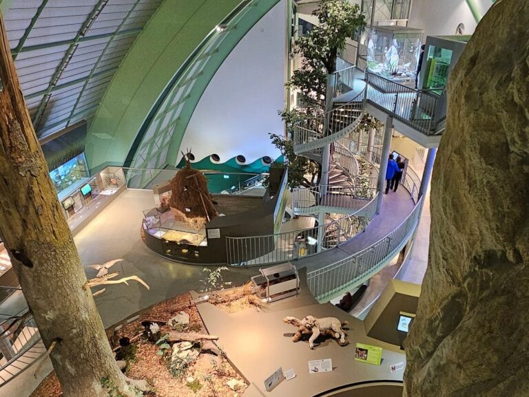 Museum Niederösterreich - das Kindermuseum