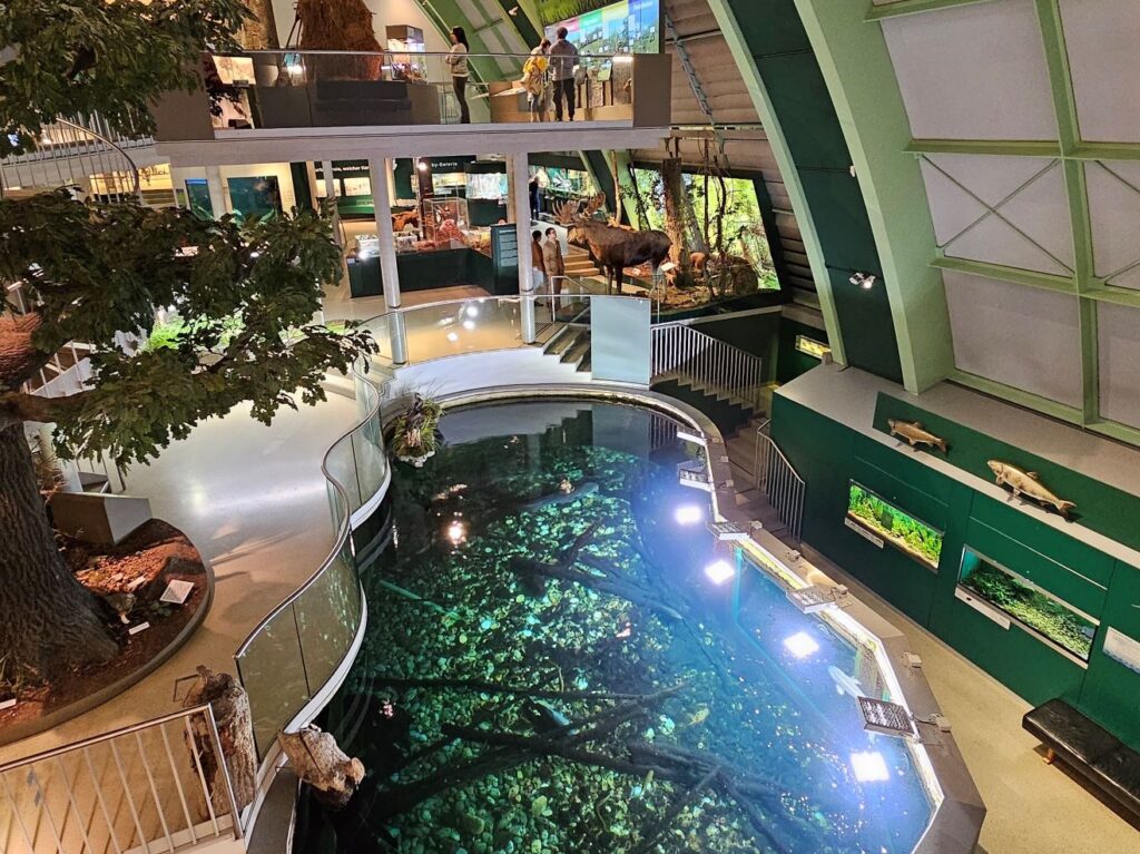 Museum Niederösterreich - Haus der Natur