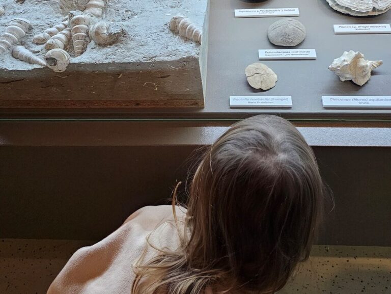 Museum Niederösterreich - Mini beim Beobachten