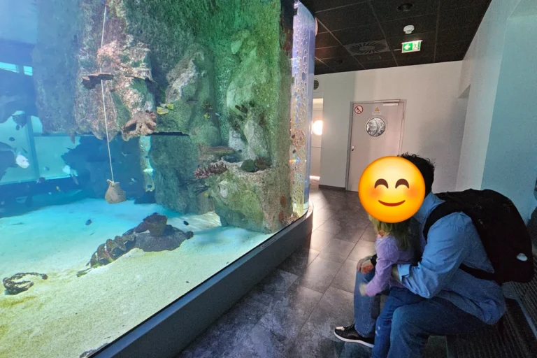 Vater und Tochter beobachten gemeinsam die tropischen Fische im Haus des Meeres – idealer Indoor-Ausflug für Familien.