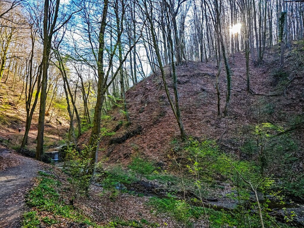 Hagenbachklamm
