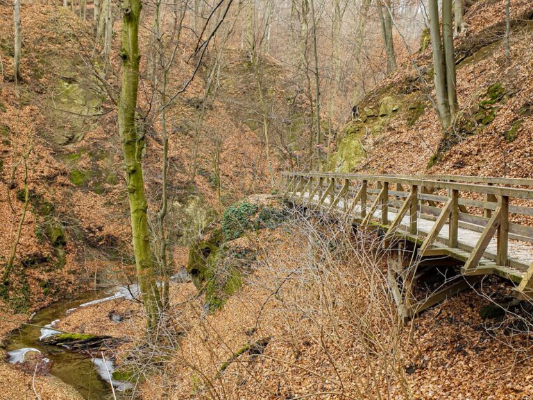 Hagenbachklamm im Winter