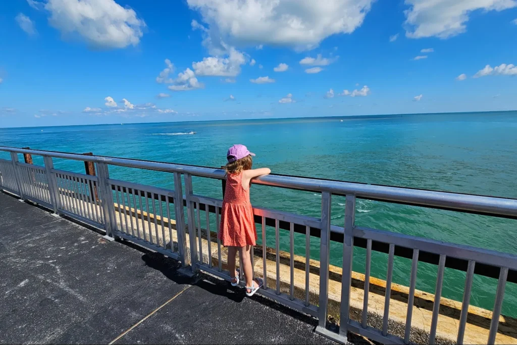 Mini in Florida