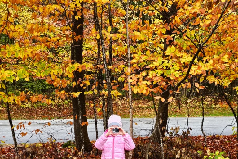 Herbst in Neuengland