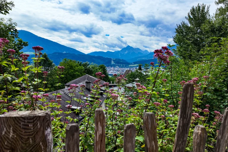 die wunderschöne Aussicht im Alpenzoo