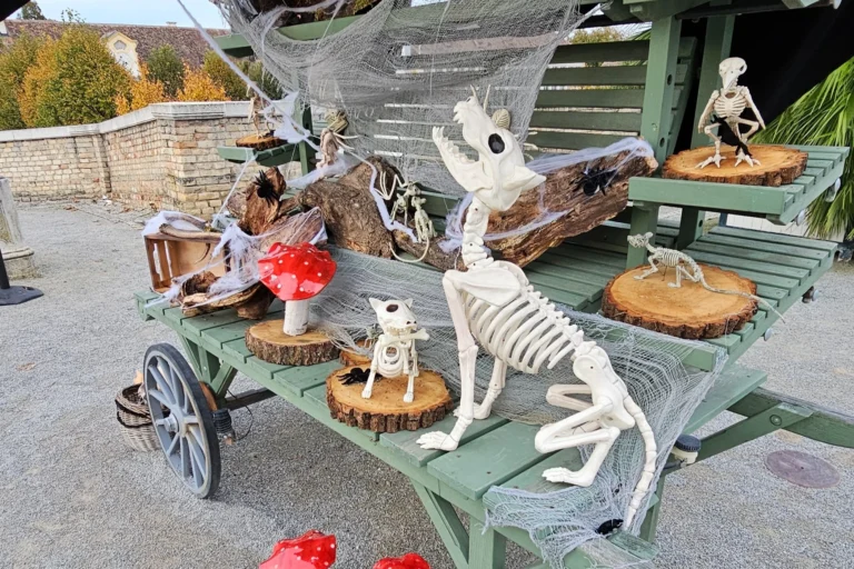 Halloween-Dekoration auf Schloss Hof – kindgerechte Skelettfiguren und Kürbisse