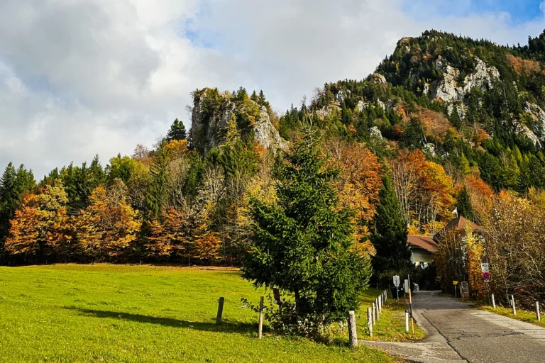 Burgruine Wartenfels vor herbstlich gefärbtem Wald in Salzburg