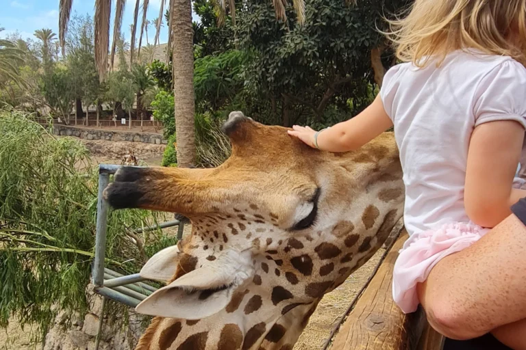 Familienbesuch im Oasis Wildlife Park auf Fuerteventura – Kind beobachtet Giraffen und exotische Tiere in weitläufiger, naturnaher Parkanlage.