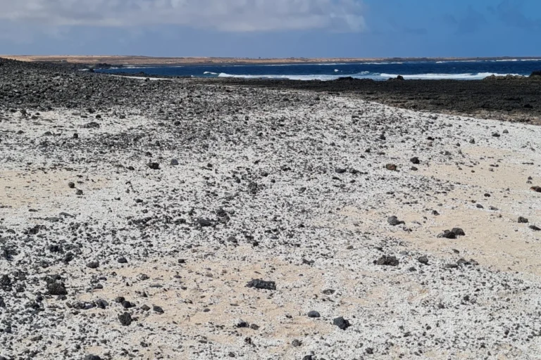 Popcorn Beach auf Fuerteventura mit weißen Korallensteinchen, schwarzem Lavagestein und Blick auf den Atlantik.