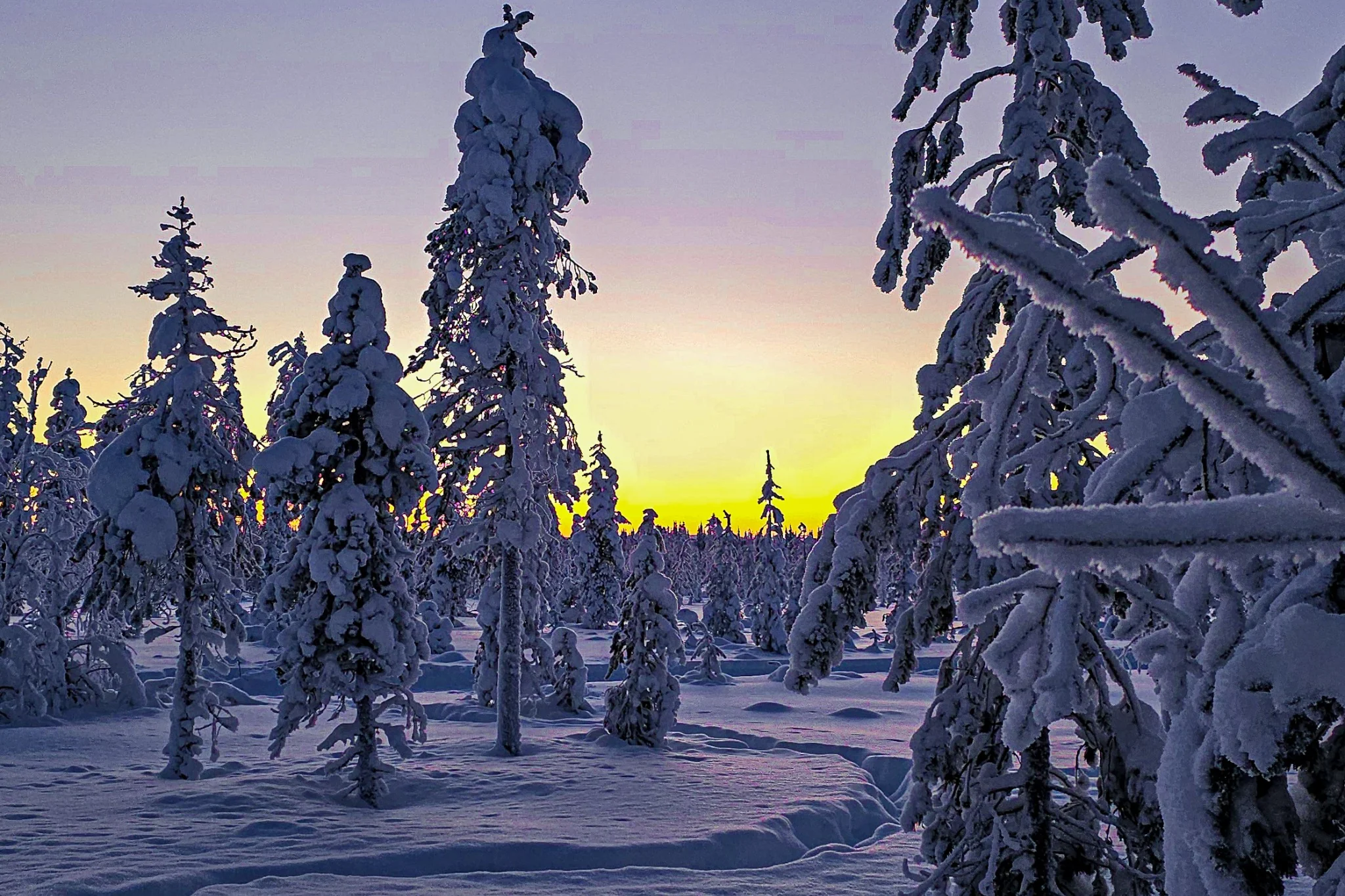 Lappland Kosten: Was unsere Reise nach Levi mit Kind gekostet hat