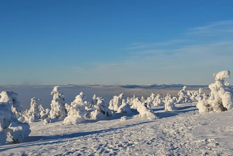 Rodelhang in Levi, Lappland mit verschneiter Winterlandschaft und weitem Ausblick